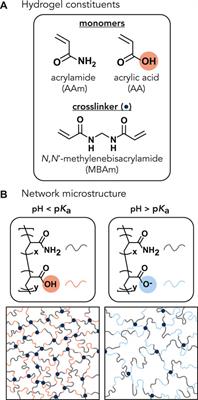 Superlubricity of pH-responsive hydrogels in extreme environments
